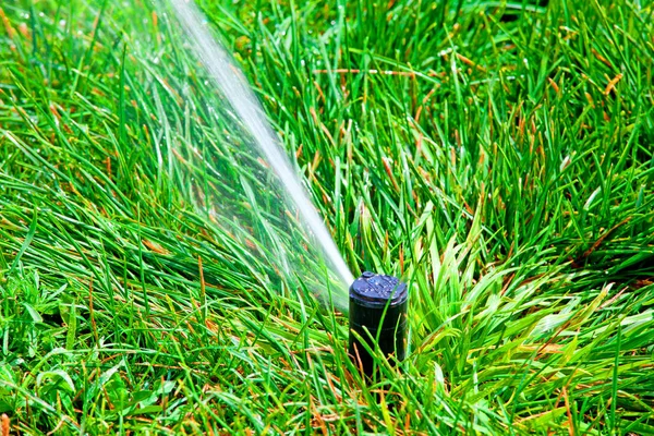 Sistema de rociadores que riega el césped sobre un fondo de gras verde —  Fotos de Stock