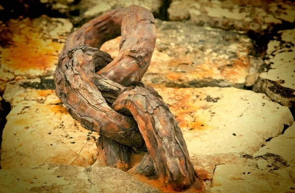 Rusty chain lying on the swab close to a marina. The salt water — Stock Photo, Image