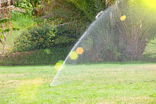 Sprinkler rendszer öntözés a gyep. Nyári napsütésben — Stock Fotó