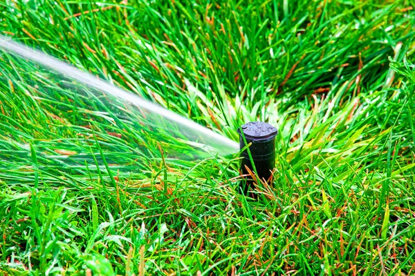 Sprinklerinstallatie drenken van het gazon op een achtergrond van groen gras — Stockfoto