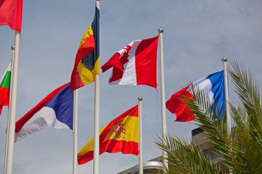 rüzgarda mutlu dünya bayrakları .