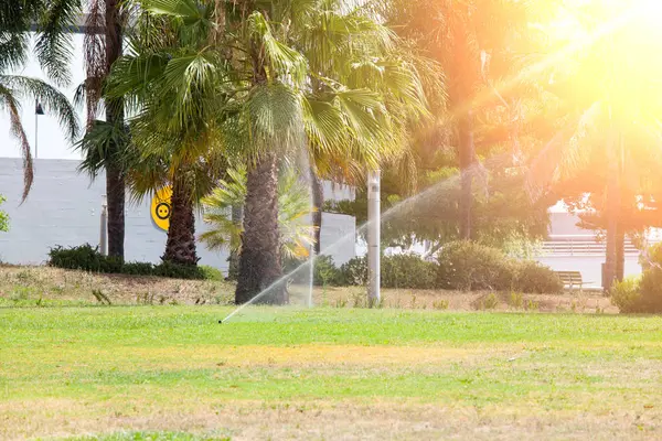 Sprinklerinstallatie drenken van het gazon. Zonnige zomerdag — Stockfoto