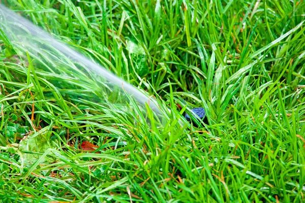 Sistema de rociadores que riega el césped sobre un fondo de gras verde —  Fotos de Stock