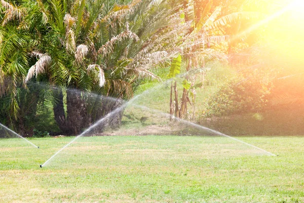 自动喷水灭火系统给草坪浇水。夏天阳光灿烂的日子 — 图库照片