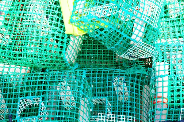 Istakoz tencere ve yengeç tencere iskelede güneşte kurutma