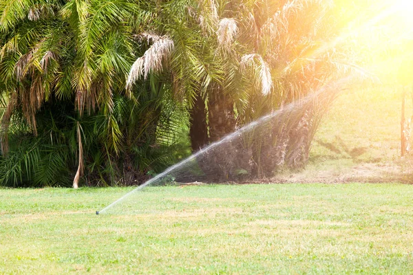 Sistema de rociadores que riega el césped. Día soleado de verano —  Fotos de Stock