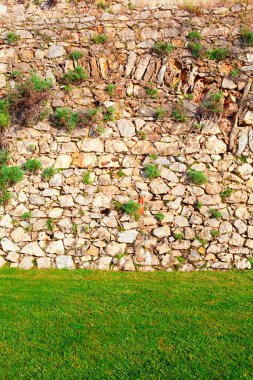 yeşil çim ile taş duvar arka plan