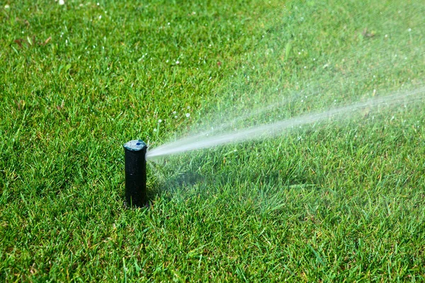 Protipožární nástřik vodou na zeleném trávníku — Stock fotografie