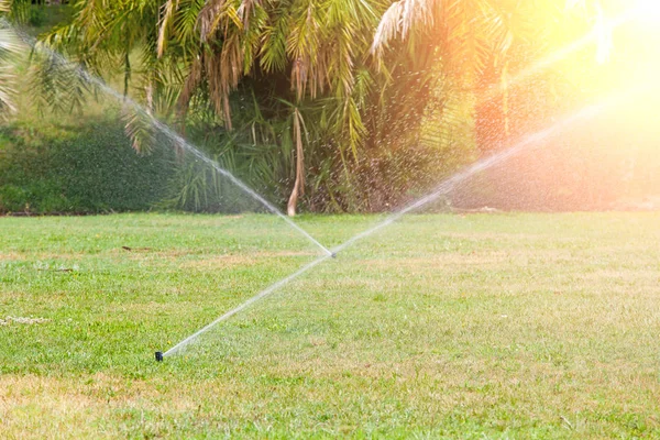 自动喷水灭火系统给草坪浇水。夏天阳光灿烂的日子 — 图库照片