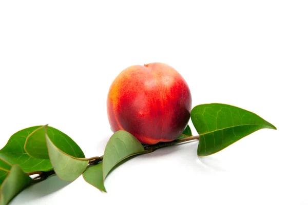 Ripe peach with leaves isolated on a white background — Stock Photo, Image