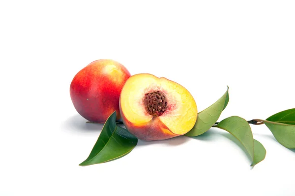 Полтора нектариновых персика на белом фоне — стоковое фото