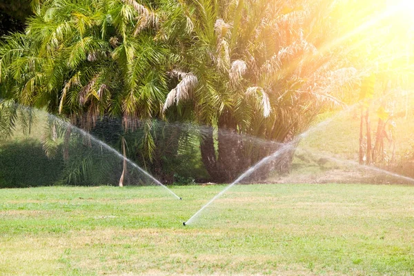 Дождевальная система поливает газон. Солнечный летний день Лицензионные Стоковые Изображения
