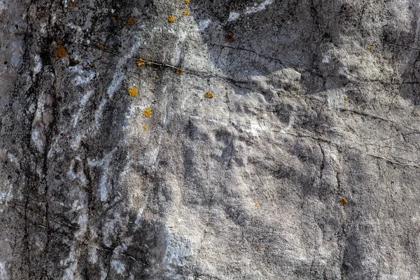 Doku taş doğal arka plan deseni — Stok fotoğraf