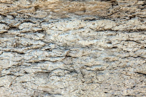 Doku taş doğal arka plan deseni — Stok fotoğraf