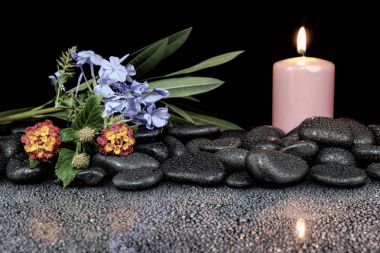 Çiçek açan çiçek, mum ve siyah ston güzel spa kavramı