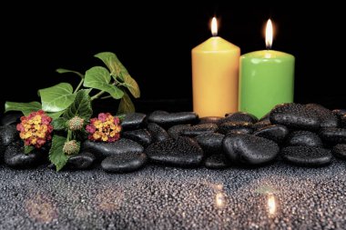 Çiçek açan çiçek, mum ve siyah sto güzel spa kavramı