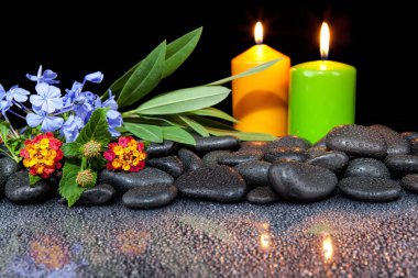 Çiçek açan çiçek, mum ve siyah sto güzel spa kavramı