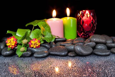 Çiçek açan çiçek, mum ve siyah sto güzel spa kavramı