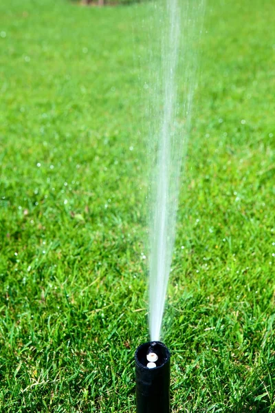 Aspersor rociando agua sobre un césped verde —  Fotos de Stock