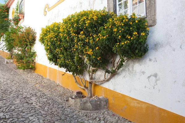 Calle estrecha en la ciudad medieval portuguesa de Obidos — Foto de Stock