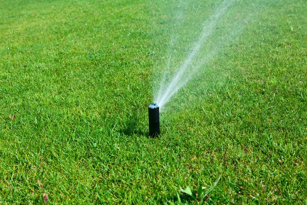 Sprinkler sproeien van water op een groen gazon — Stockfoto