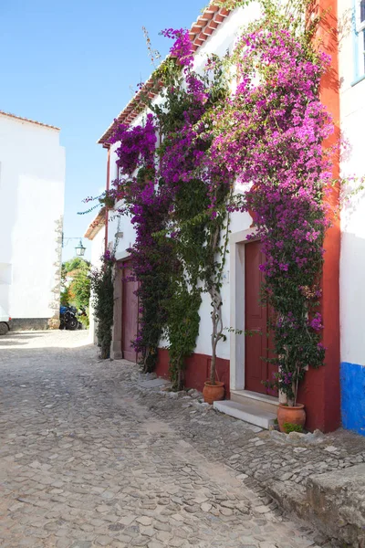 Вузька вулиця в середньовічних португальським містом Обідуш — стокове фото