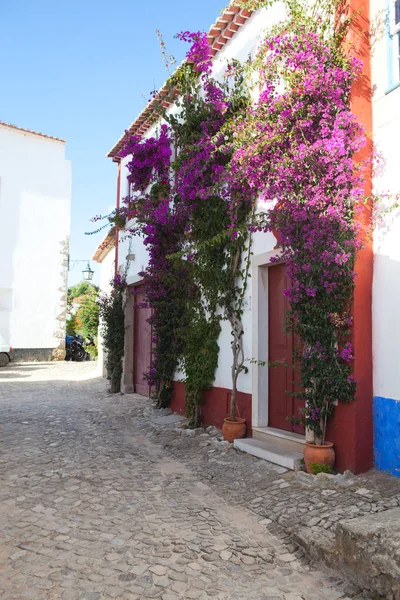 A középkori portugál város obidos keskeny utca — Stock Fotó