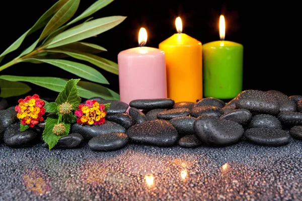 stock image Stones and flower on black background with reflection
