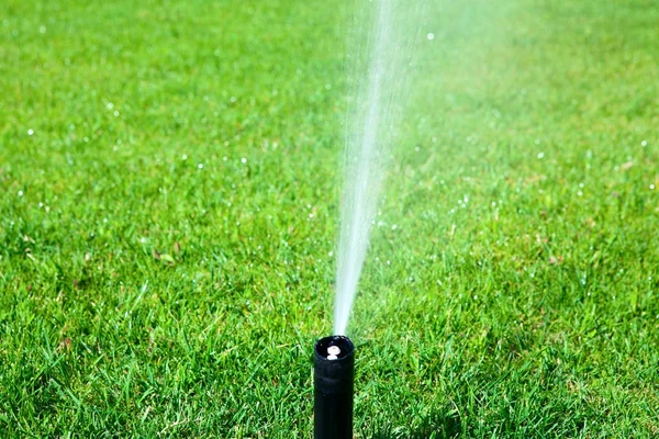 Aspersor rociando agua sobre un césped verde —  Fotos de Stock