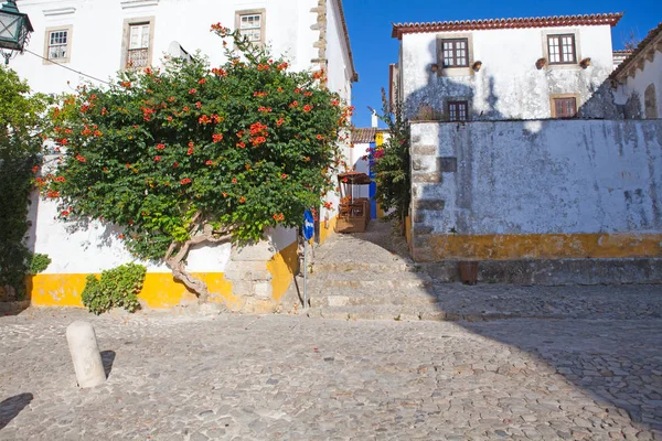Rua Estreita na Cidade Portuguesa Medieval de Óbidos — Fotografia de Stock