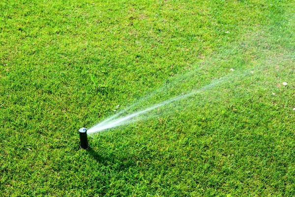 Aspersor rociando agua sobre un césped verde —  Fotos de Stock