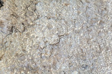 Doğal mermer doku ve yüzey arka plan