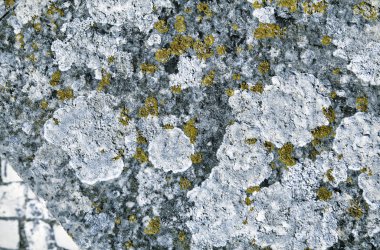 Taş, taş doku ve arka plan yüzeyi