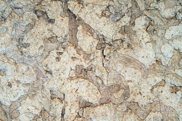Detalhe da textura de pedra para fundo — Fotografia de Stock