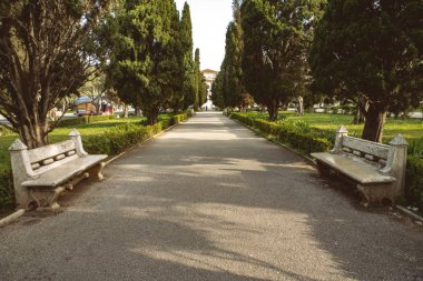 Parkta güzel tezgah. Bahar güneşli gün