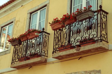 İki eski windows üzerinde çiçekler olan bir ev.