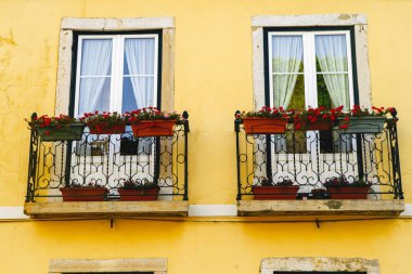 İki eski windows üzerinde çiçekler olan bir ev.