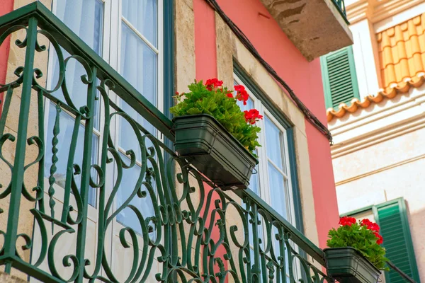 Twee oude windows op een huis met bloemen. — Stockfoto