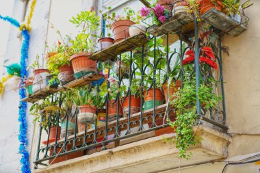 çiçekler ve bitkiler ile eski balkon
