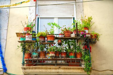çiçekler ve bitkiler ile eski balkon