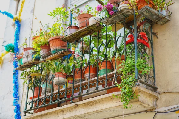 Starý balkon s květinami a rostlinami — Stock fotografie