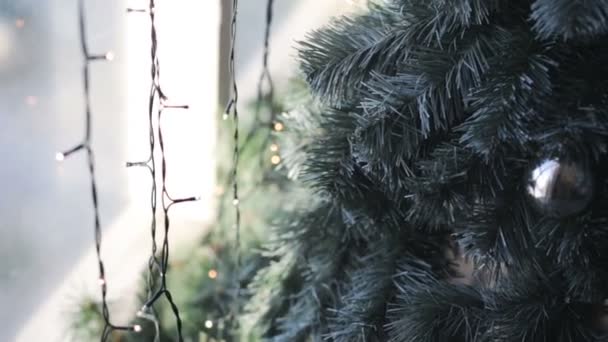 Cristmas tree near window with illumination — Stock Video