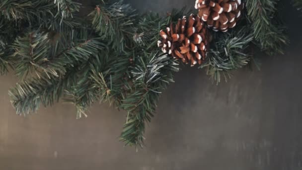 Cristmas tree with fir-cone — Stock Video