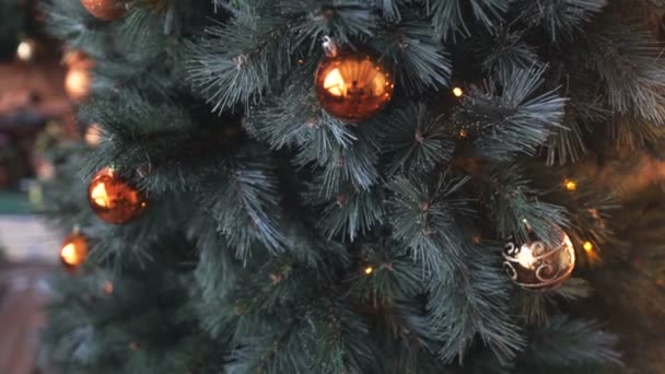 Cristmas strom s pozadím světla — Stock video