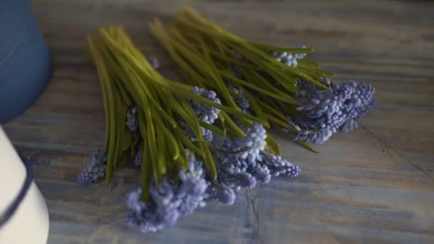 Jacinto de flor púrpura en mesa de floristería — Vídeo de stock