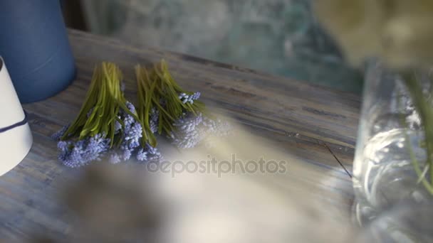 Jacinto de flor roxa na tabela florista — Vídeo de Stock