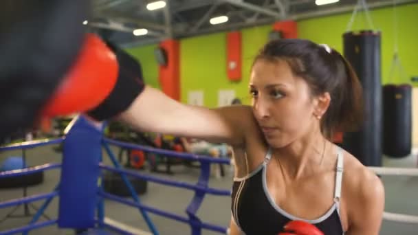 Jovem mulher boxer formação pré-jogo de aquecimento no ringue de boxe com seu treinador — Vídeo de Stock