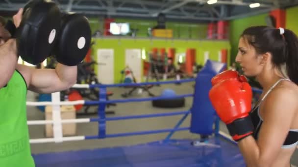 Jovem kickboxer treinando aquecimento pré-jogo no ringue de boxe com seu treinador — Vídeo de Stock