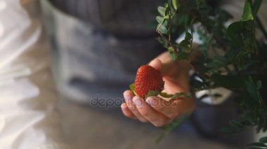 Şef kadın meyve ve sebze yemek ve meyve buketi çiçekçi dükkanında yapmak için hazırlanıyor