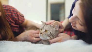 Yatakta yatan iki mutlu kadın arkadaşlar closeup şişman kızgın kedi sarılmak ve yatakta iyi eğlenceler